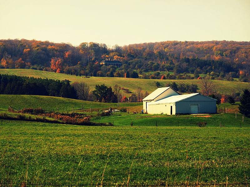 Caledon
