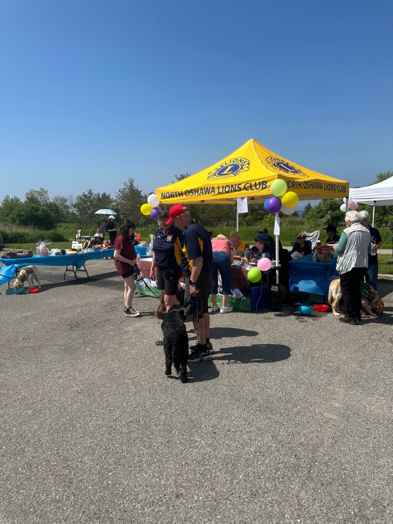 Walk for Dog Guides