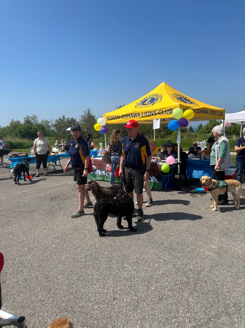 Walk for Dog Guides
