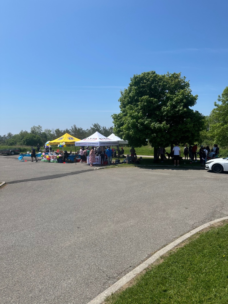 Walk for Dog Guides