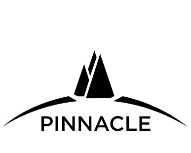 Partner