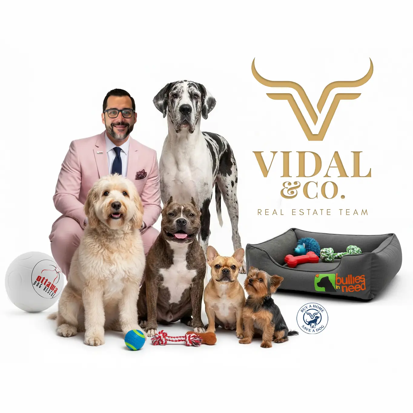🐾  Buy a Home, Save a Dog 🦴