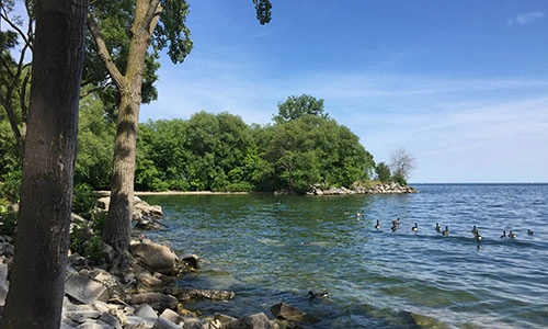 Long Branch