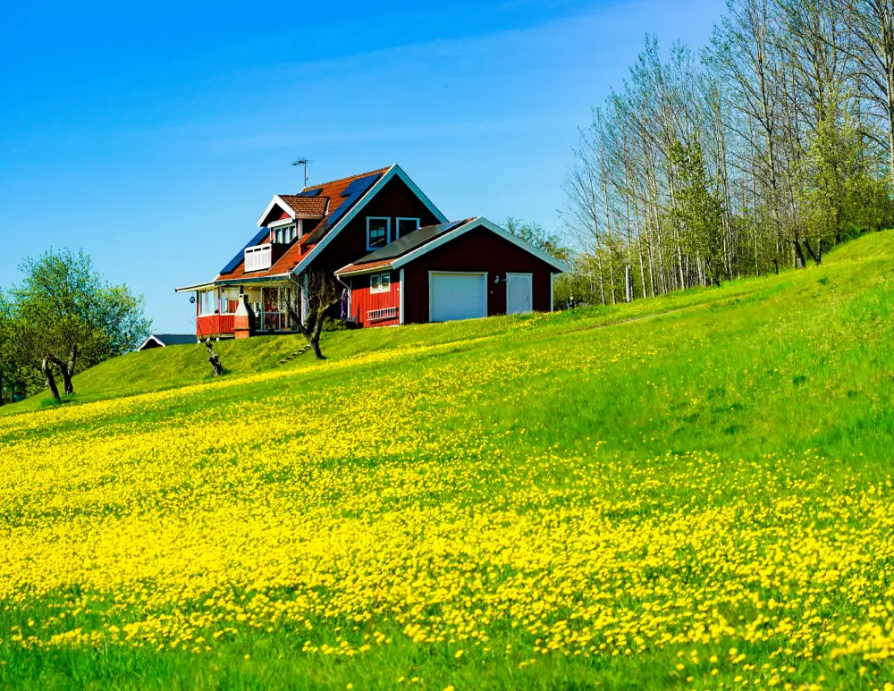 Rural Properties