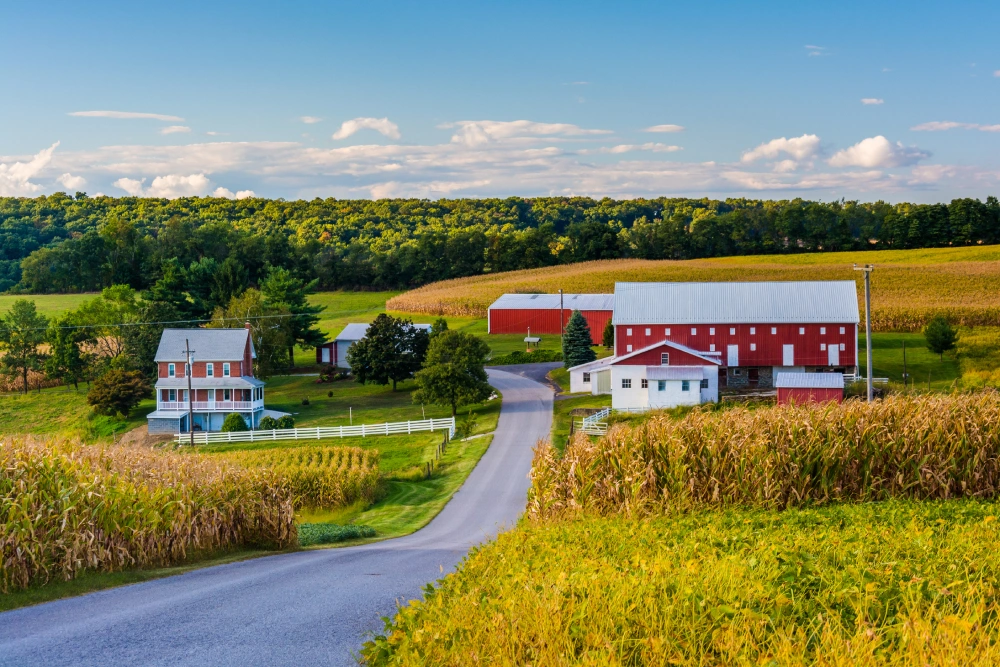 Dufferin County