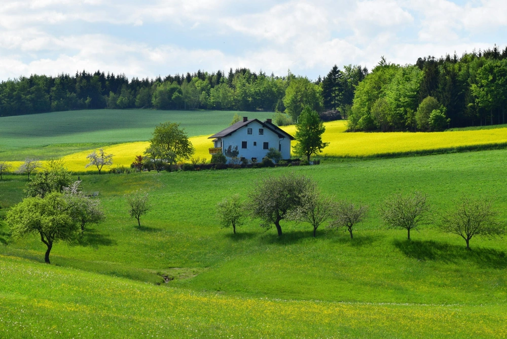 Milton farmhouses